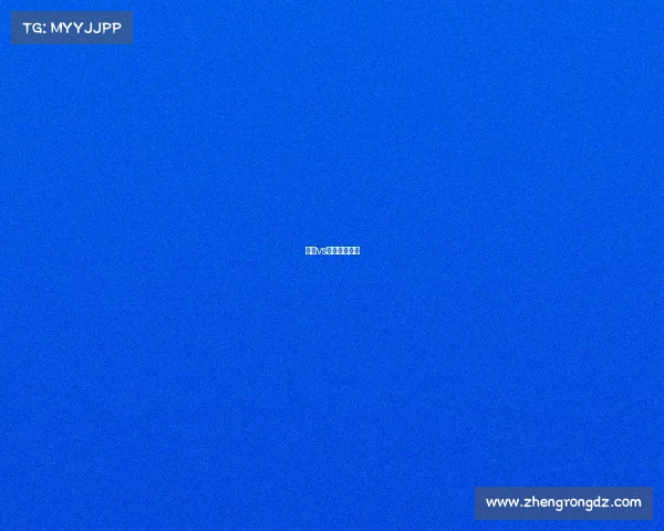 巴西vs秘鲁文字直播