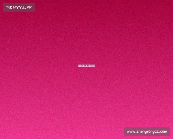 赛车比赛一般有哪些品牌车